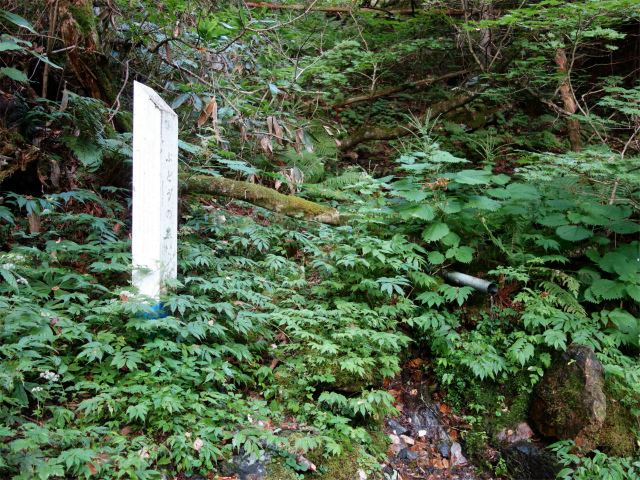 木曽駒ヶ岳(桂小場・西駒ルート)登山口コースガイド ぶどうの泉【登山口ナビ】