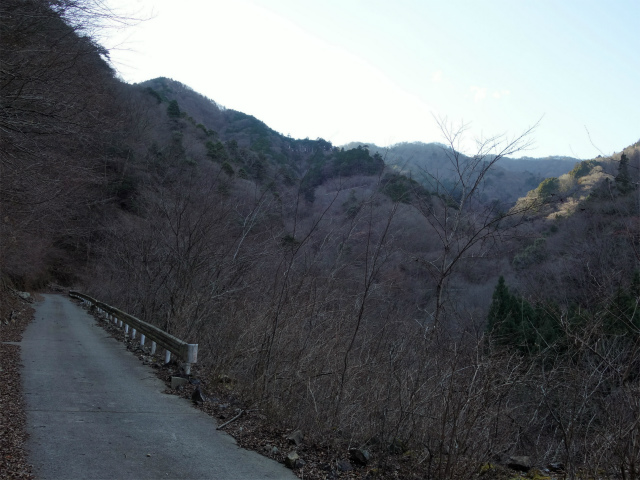 丹沢山(塩水林道~堂平)登山口コースガイド 塩水林道中間点付近【登山口ナビ】