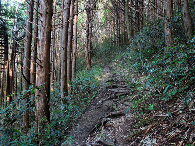 木曽駒ヶ岳(桂小場・西駒ルート)登山口コースガイド ちりめん坂【登山口ナビ】