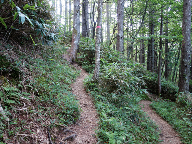 木曽駒ヶ岳(桂小場・西駒ルート)登山口コースガイド 折り返し【登山口ナビ】