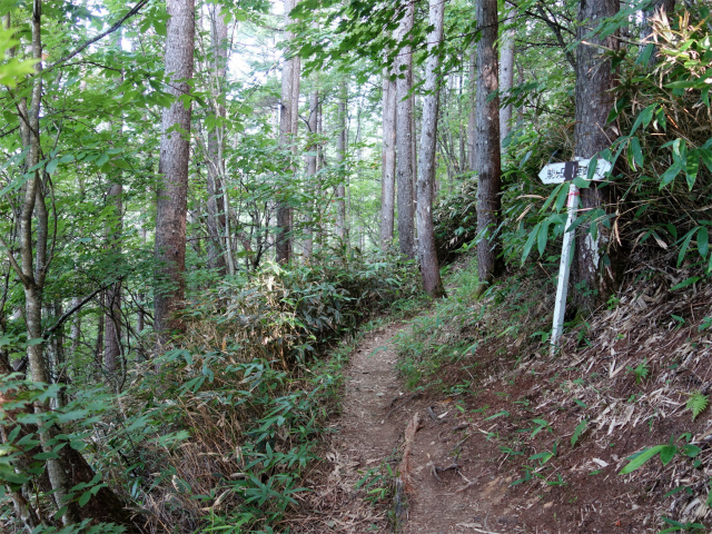 木曽駒ヶ岳(桂小場・西駒ルート)登山口コースガイド 崩落斜面の高巻き【登山口ナビ】
