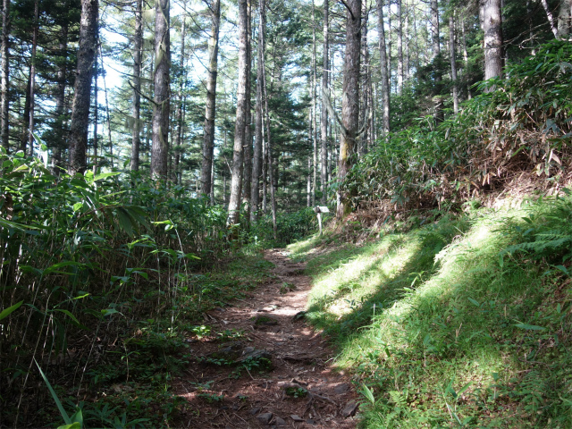 木曽駒ヶ岳(桂小場・西駒ルート)登山口コースガイド 横山分岐【登山口ナビ】
