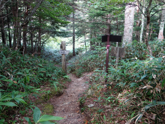 木曽駒ヶ岳(桂小場・西駒ルート)登山口コースガイド 馬返し権兵衛峠分岐【登山口ナビ】