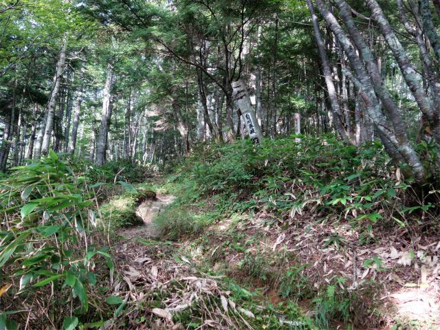木曽駒ヶ岳(桂小場・西駒ルート)登山口コースガイド 白井分岐【登山口ナビ】