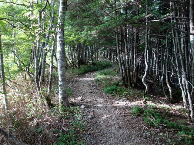 木曽駒ヶ岳(桂小場・西駒ルート)登山口コースガイド 尾根道【登山口ナビ】