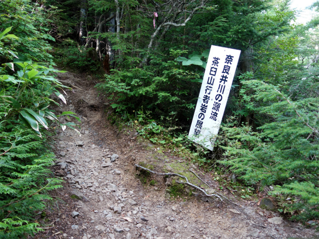木曽駒ヶ岳(桂小場・西駒ルート)登山口コースガイド 茶臼山行者岩の展望【登山口ナビ】