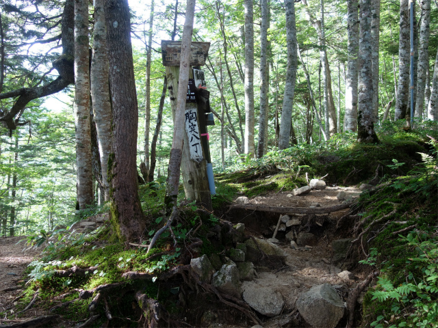 木曽駒ヶ岳(桂小場・西駒ルート)登山口コースガイド 胸突八丁信大ルート分岐【登山口ナビ】