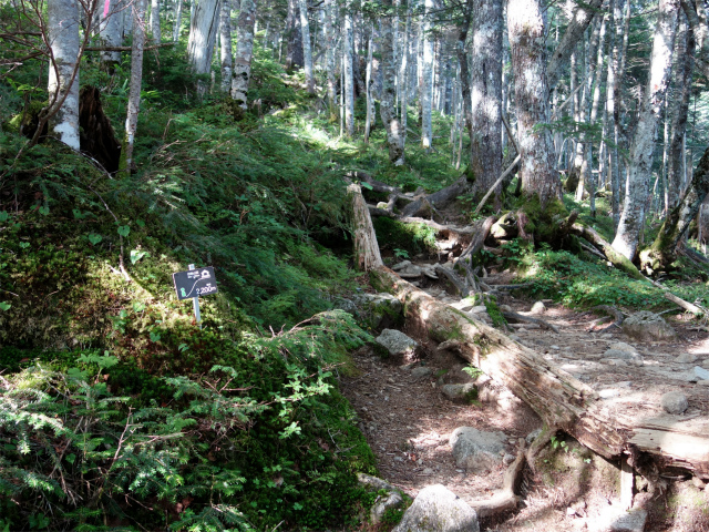 木曽駒ヶ岳(桂小場・西駒ルート)登山口コースガイド 標高2200mプレート【登山口ナビ】