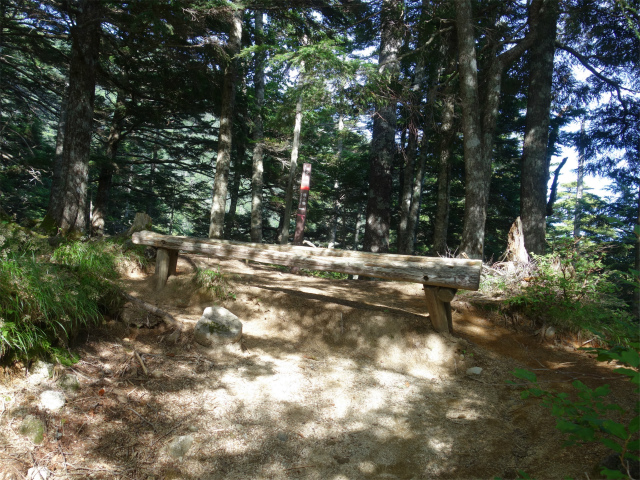 木曽駒ヶ岳(桂小場・西駒ルート)登山口コースガイド 六合目【登山口ナビ】