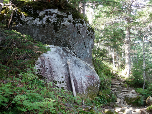 木曽駒ヶ岳(桂小場・西駒ルート)登山口コースガイド 弘法石【登山口ナビ】