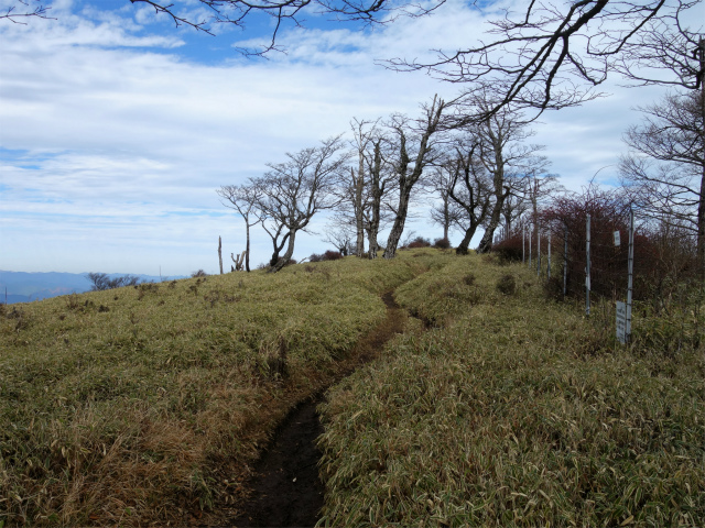 蛭ヶ岳(塩水林道~堂平~丹沢山)登山口コースガイド 鬼ヶ岩ノ頭【登山口ナビ】