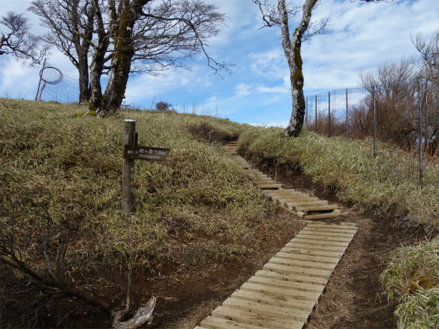 蛭ヶ岳(塩水林道~堂平~丹沢山)登山口コースガイド 棚沢ノ頭標柱【登山口ナビ】
