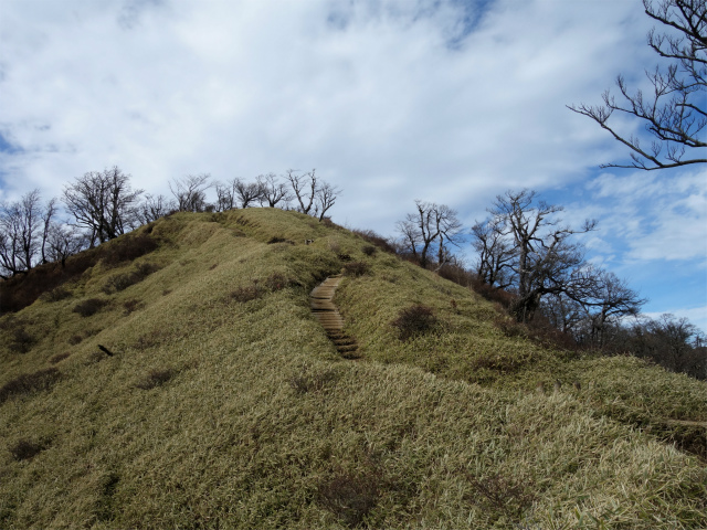 蛭ヶ岳(塩水林道~堂平~丹沢山)登山口コースガイド 棚沢ノ頭の登り返し【登山口ナビ】