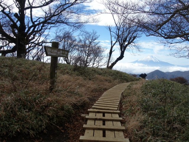 蛭ヶ岳(塩水林道~堂平~丹沢山)登山口コースガイド 不動ノ峰標柱【登山口ナビ】