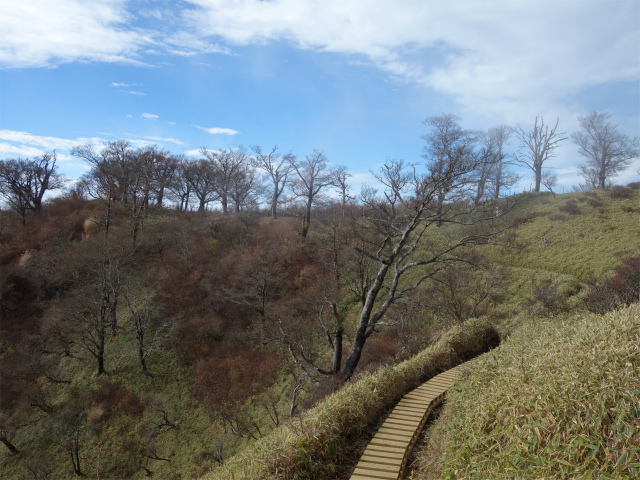 蛭ヶ岳(塩水林道~堂平~丹沢山)登山口コースガイド 不動ノ峰巻き道【登山口ナビ】