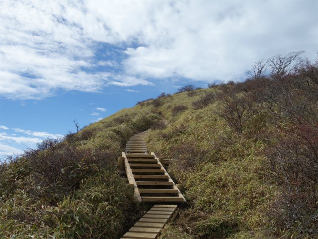 蛭ヶ岳(塩水林道~堂平~丹沢山)登山口コースガイド 不動ノ峰【登山口ナビ】