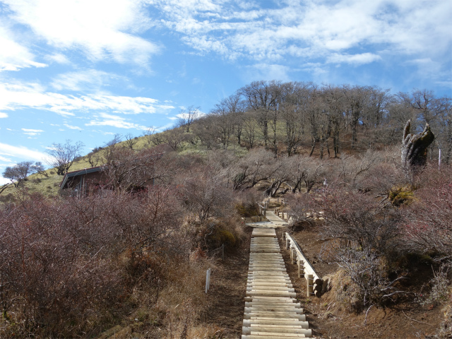 蛭ヶ岳(塩水林道~堂平~丹沢山)登山口コースガイド【登山口ナビ】