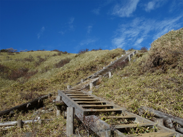 蛭ヶ岳(塩水林道~堂平~丹沢山)登山口コースガイド 登り返しの階段【登山口ナビ】
