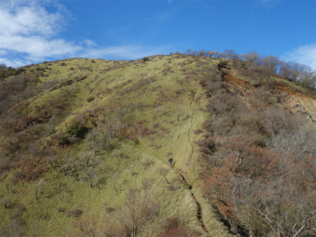 蛭ヶ岳(塩水林道~堂平~丹沢山)登山口コースガイド 鞍部【登山口ナビ】