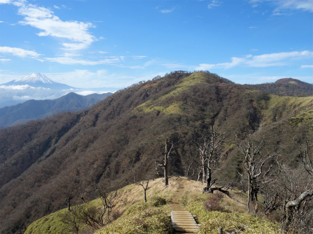 蛭ヶ岳(塩水林道~堂平~丹沢山)登山口コースガイド 西の肩からの展望【登山口ナビ】