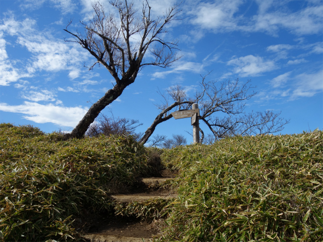 蛭ヶ岳(塩水林道~堂平~丹沢山)登山口コースガイド 西の肩【登山口ナビ】