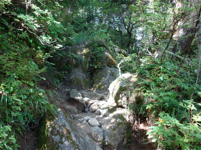 木曽駒ヶ岳(桂小場・西駒ルート)登山口コースガイド 岩の露出【登山口ナビ】