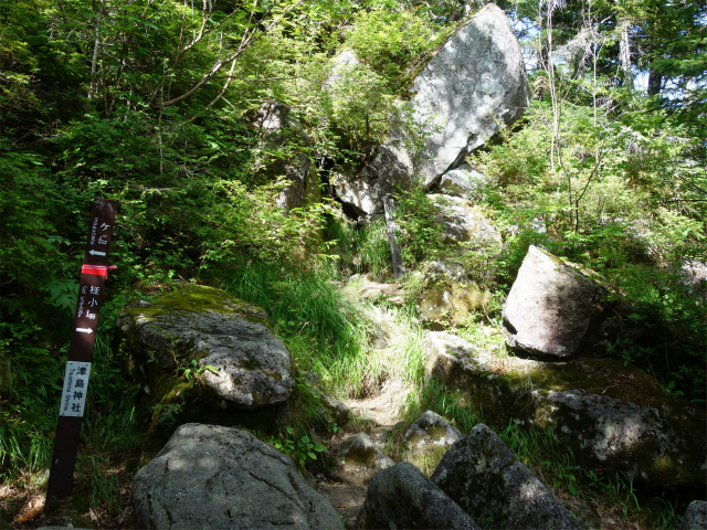 木曽駒ヶ岳(桂小場・西駒ルート)登山口コースガイド 津島神社跡【登山口ナビ】