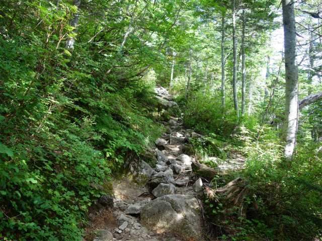 木曽駒ヶ岳(桂小場・西駒ルート)登山口コースガイド 露岩【登山口ナビ】