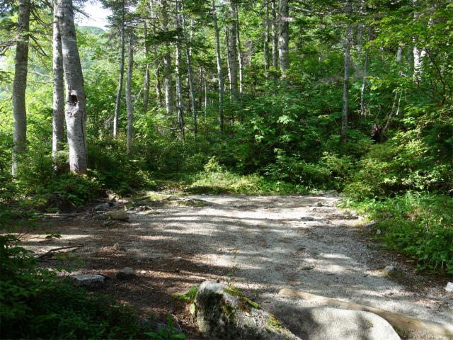 木曽駒ヶ岳(桂小場・西駒ルート)登山口コースガイド ベンチの平場【登山口ナビ】