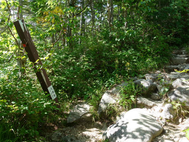 木曽駒ヶ岳(桂小場・西駒ルート)登山口コースガイド 七合目【登山口ナビ】