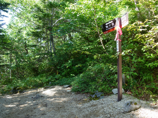 木曽駒ヶ岳(桂小場・西駒ルート)登山口コースガイド 胸突ノ頭【登山口ナビ】