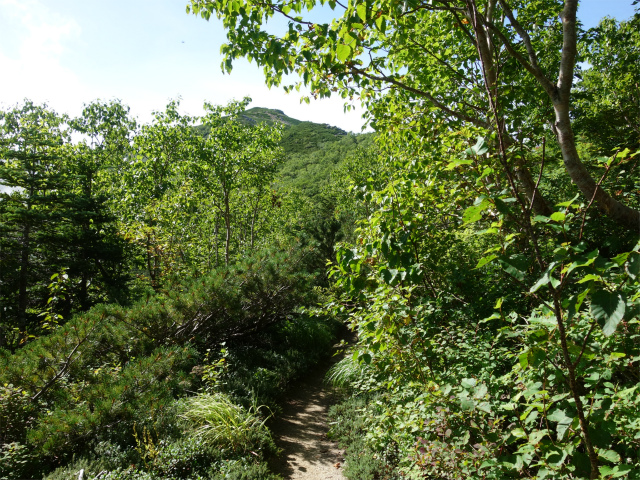 木曽駒ヶ岳(桂小場・西駒ルート)登山口コースガイド トラバース【登山口ナビ】