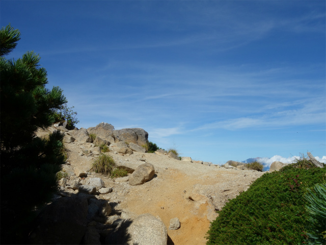 木曽駒ヶ岳(桂小場・西駒ルート)登山口コースガイド 稜線【登山口ナビ】