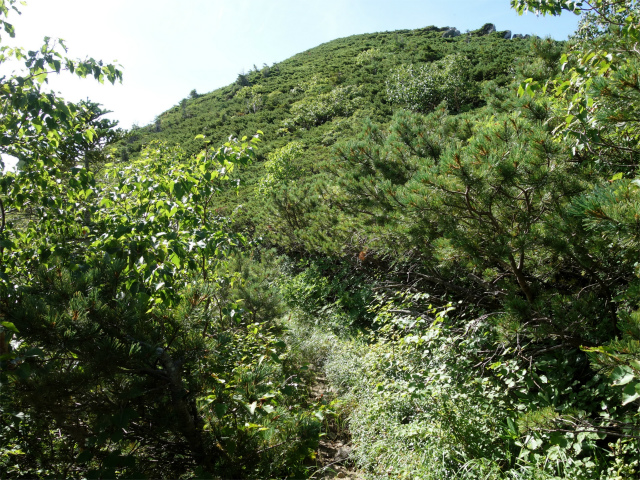 木曽駒ヶ岳(桂小場・西駒ルート)登山口コースガイド 巻き道【登山口ナビ】