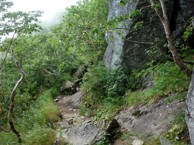木曽駒ヶ岳(桂小場・西駒ルート)登山口コースガイド 夏道【登山口ナビ】