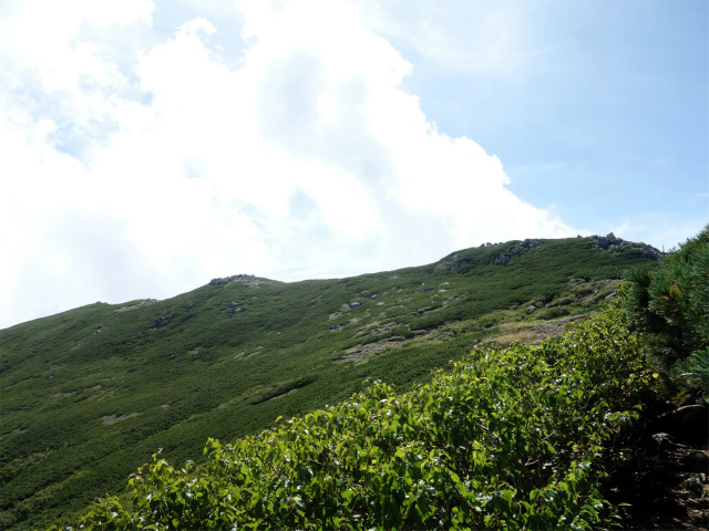 木曽駒ヶ岳(桂小場・西駒ルート)登山口コースガイド 権現づるね【登山口ナビ】