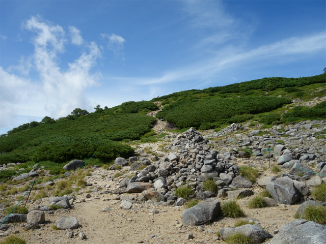 木曽駒ヶ岳(桂小場・西駒ルート)登山口コースガイド 将其頭山【登山口ナビ】