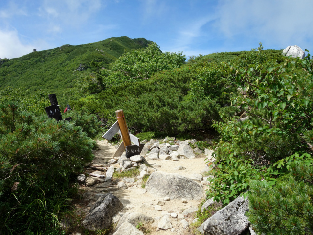木曽駒ヶ岳(桂小場・西駒ルート)登山口コースガイド 濃ヶ池分岐【登山口ナビ】