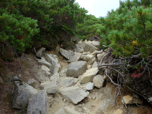 木曽駒ヶ岳(桂小場・西駒ルート)登山口コースガイド 岩【登山口ナビ】