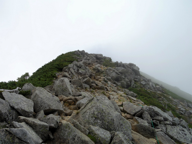 木曽駒ヶ岳(桂小場・西駒ルート)登山口コースガイド 手前のピーク【登山口ナビ】