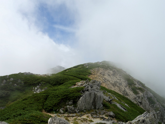 木曽駒ヶ岳(桂小場・西駒ルート)登山口コースガイド 馬ノ背【登山口ナビ】