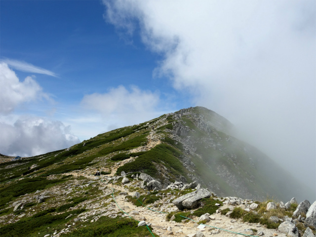 木曽駒ヶ岳(桂小場・西駒ルート)登山口コースガイド 山頂直下のトラバース分岐【登山口ナビ】