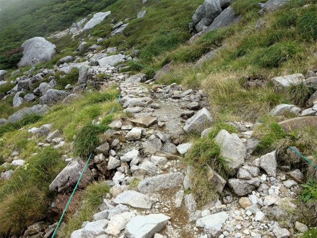 木曽駒ヶ岳(桂小場・西駒ルート)登山口コースガイド 小沢【登山口ナビ】
