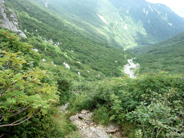 木曽駒ヶ岳(桂小場・西駒ルート)登山口コースガイド【登山口ナビ】
