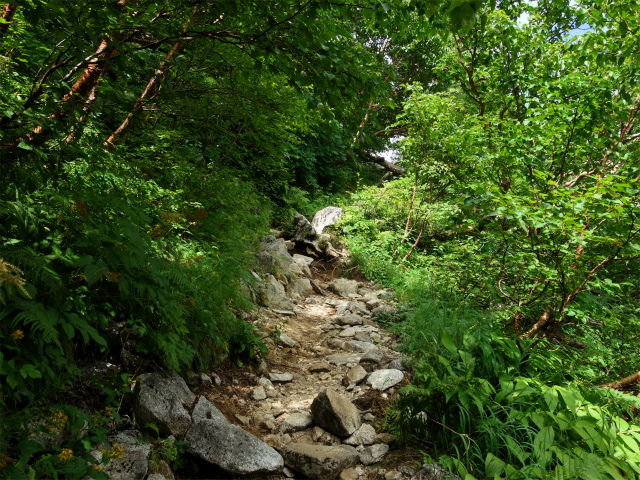 木曽駒ヶ岳(桂小場・西駒ルート)登山口コースガイド トラバース【登山口ナビ】