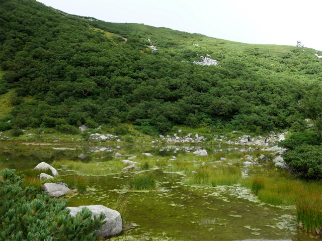 木曽駒ヶ岳(桂小場・西駒ルート)登山口コースガイド 濃ヶ池【登山口ナビ】