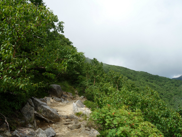 木曽駒ヶ岳(桂小場・西駒ルート)登山口コースガイド【登山口ナビ】