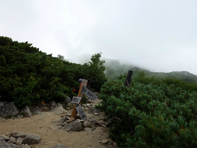 木曽駒ヶ岳(桂小場・西駒ルート)登山口コースガイド 八合目分岐【登山口ナビ】