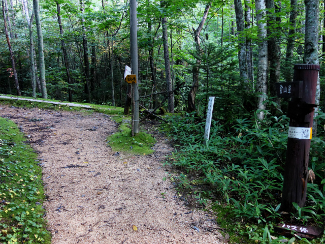燕岳(中房登山口~東沢乗越)登山口コースガイド 東沢登山口【登山口ナビ】