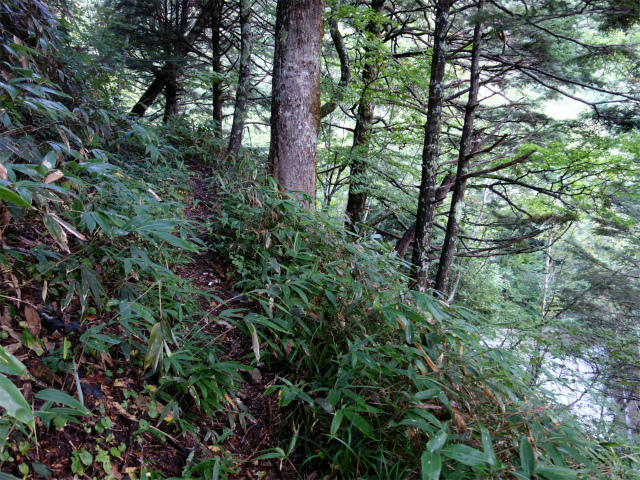 燕岳(中房登山口~東沢乗越)登山口コースガイド 高巻き道【登山口ナビ】